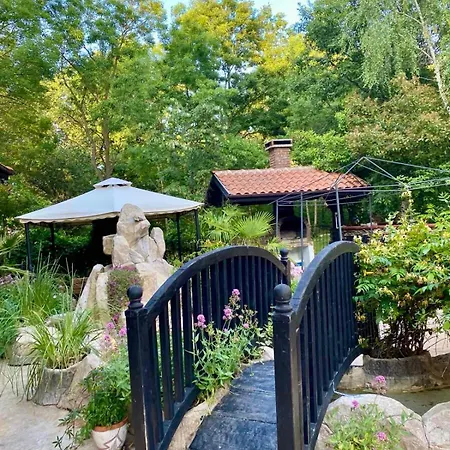 Lines * Πριμόρσκο